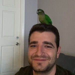 Meet your Posher, Sargis